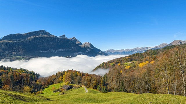 Green landscape Mountain
