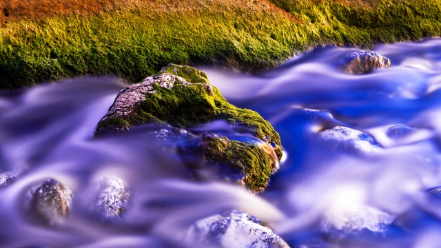 Green Moss Water Stream