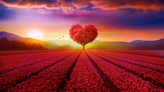 Heart tree Flower garden