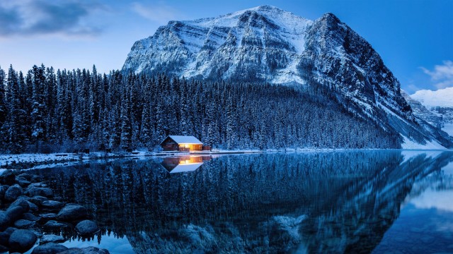 Lake Louise Winter forest
