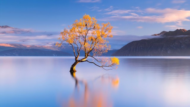 Lake Wanaka New Zealand