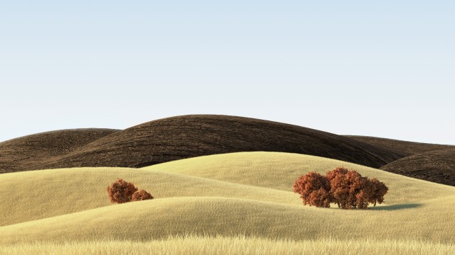 Landscape Countryside