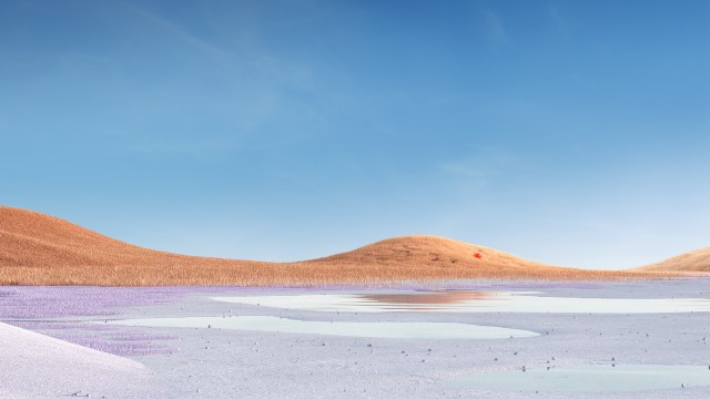 Landscape Grass field