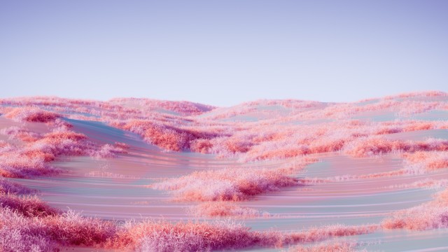 Landscape Pink aesthetic