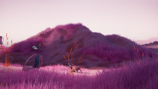 Lavender fields Purple aesthetic