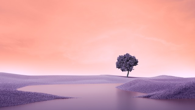 Lone tree Surreal