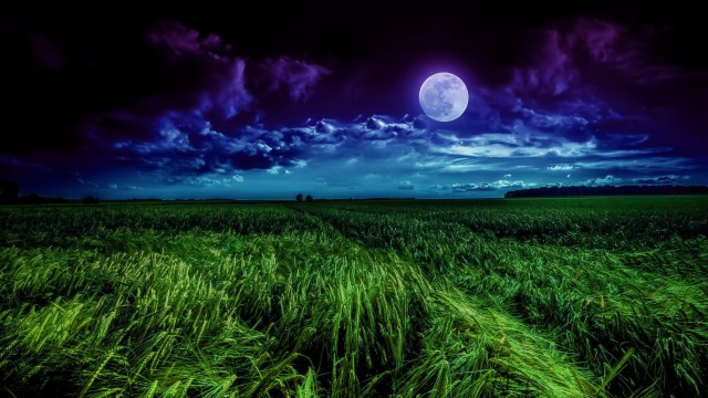 Moon Landscape