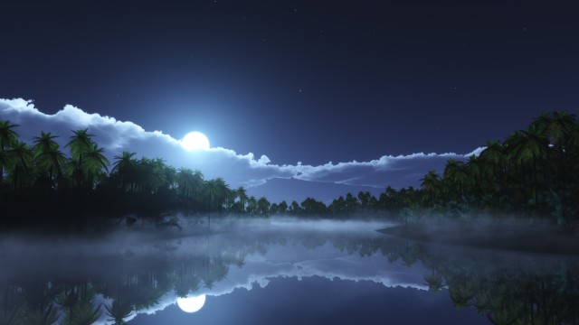 Moonlight Night time