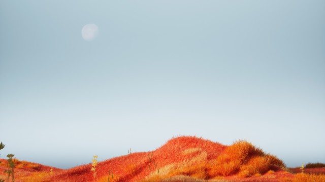 Orange aesthetic Landscape