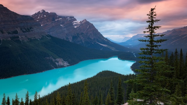 Peyto Lake Mountains