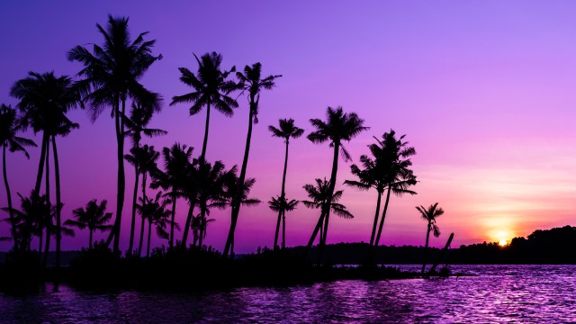 Purple Sunrise Clear sky