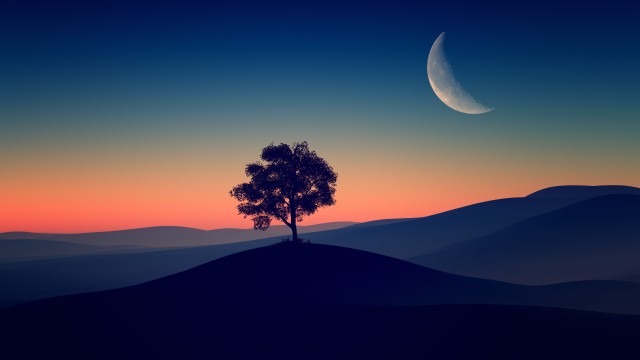 Solitude Tree Crescent Moon