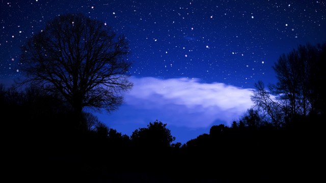 Stars in sky Dark blue