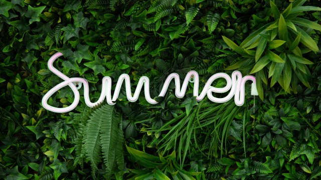 Summer Neon sign