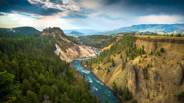 Yellowstone National Park USA