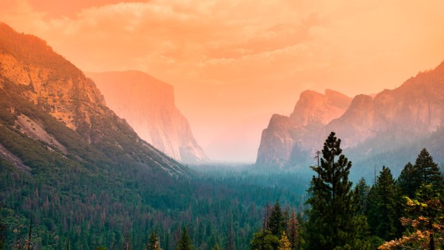 Yosemite Valley Summer