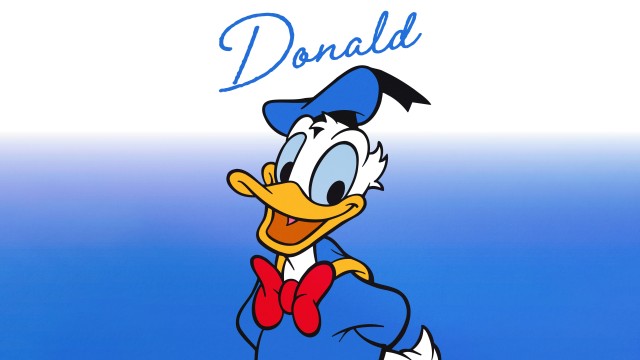 Donald Duck Cartoon