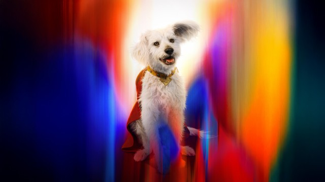 Krypto Superdog