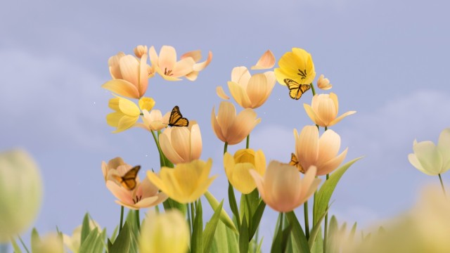 Microsoft 50th Anniversary