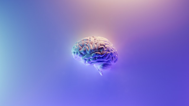 Brain 3D background