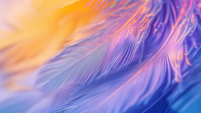 Feathers Purple aesthetic