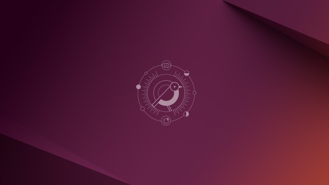 Ubuntu 24.10 (Oracular Oriole) Stock