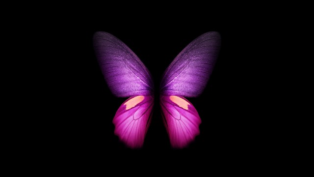 Purple Butterfly Wings