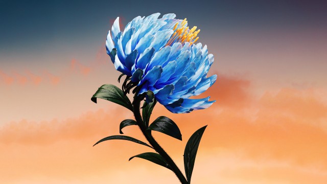 Blue flower Digital Art