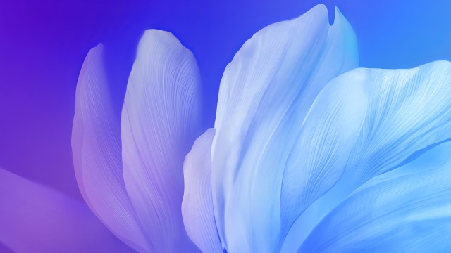 Blue flower Gradient background