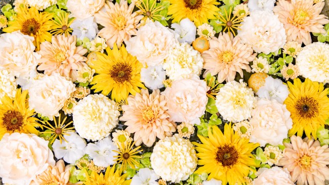 Flower bouquet Yellow aesthetic