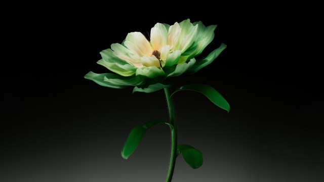 Green flower Dark background