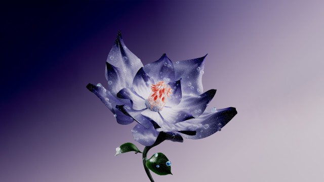 Lotus flower Digital Art