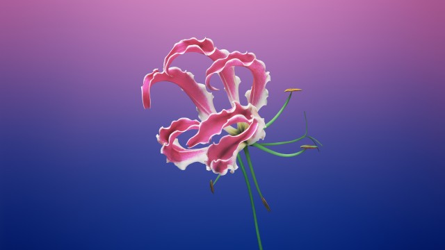 macOS Mojave Floral