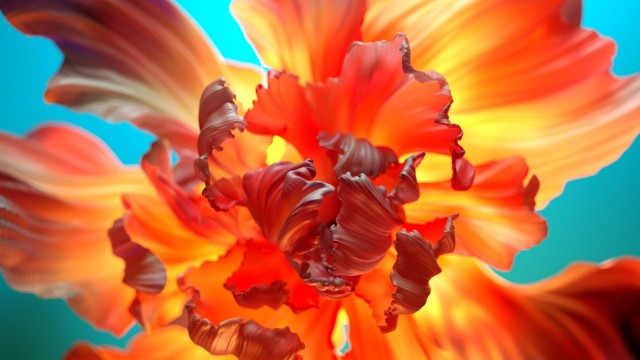Orange flower Floral Background