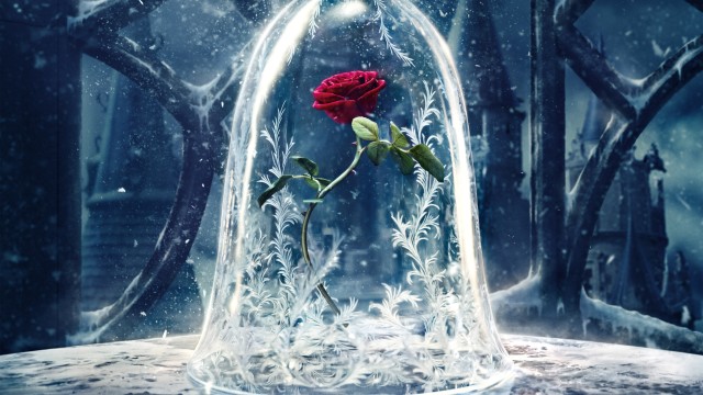 Rose Beauty and the Beast