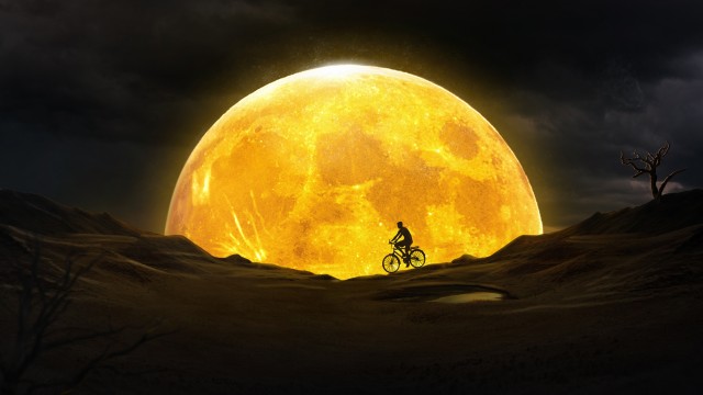 Bicycle Dream