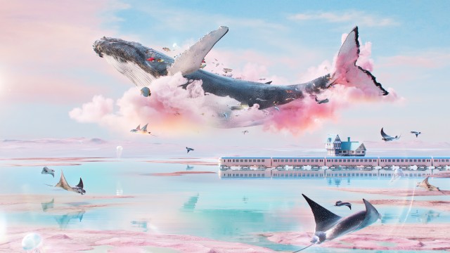 Dreamlike Whale