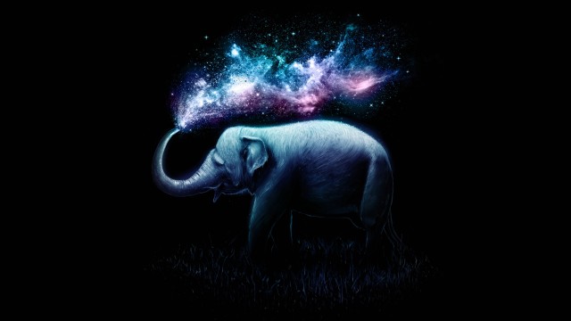 Elephant Colorful