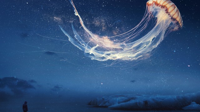 Jellyfish Dream