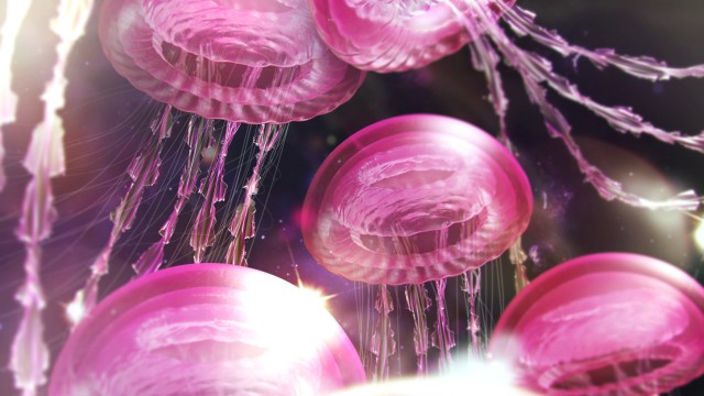 Jellyfishes Pink aesthetic
