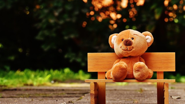 Teddy bear Park bench