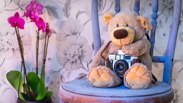 Teddy bear Vintage Camera