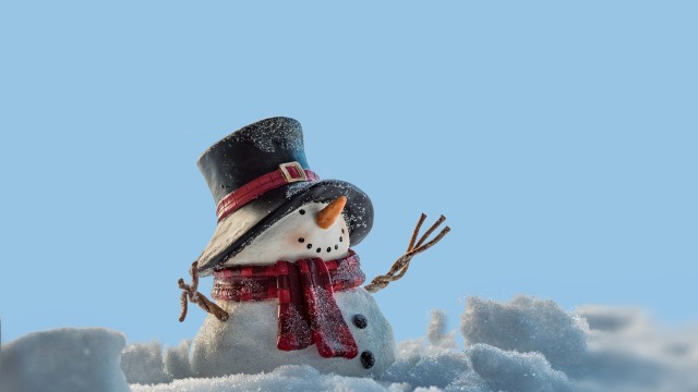 Snow covered Snowman